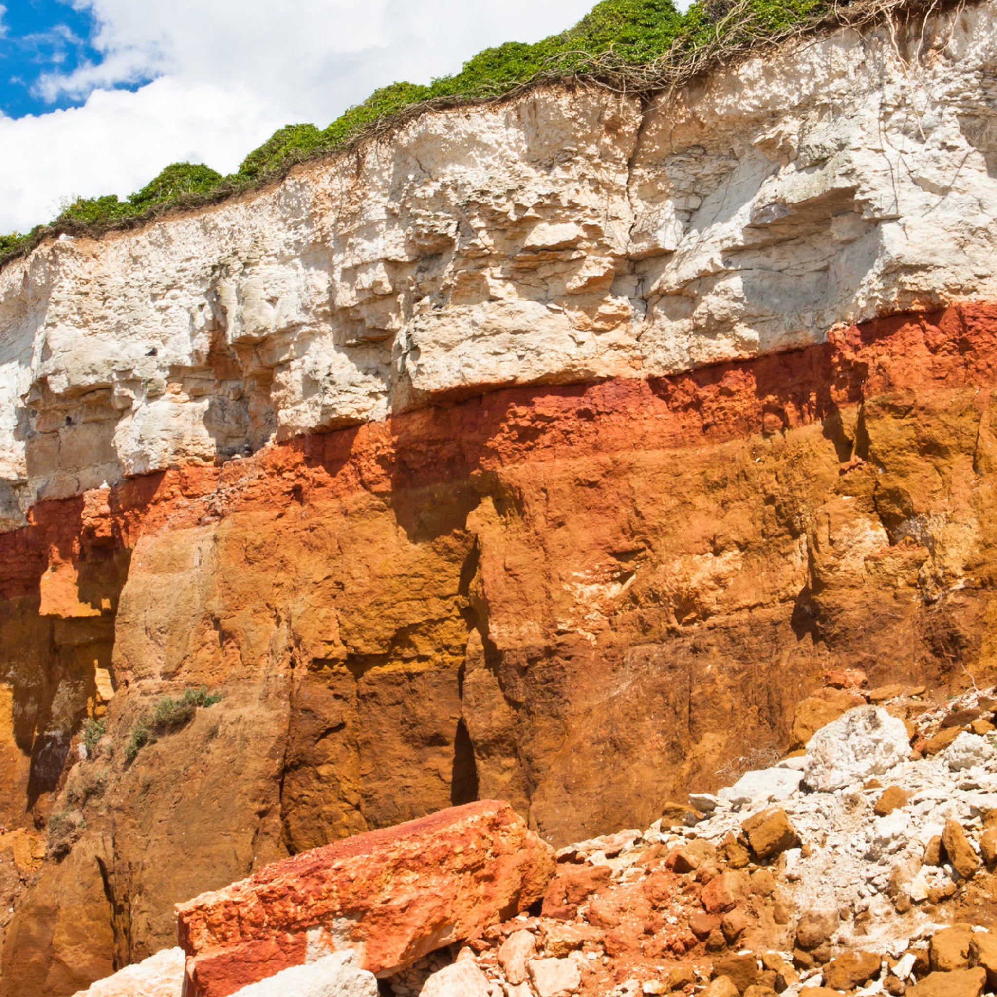 Red cliffs in Norfolk