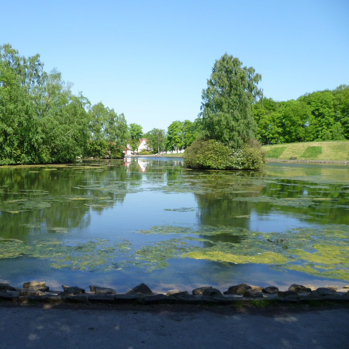 Beside the lake in Rouken Glen park