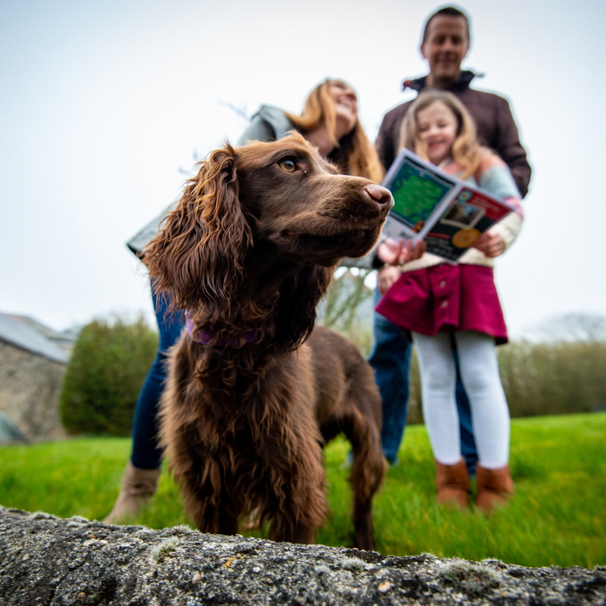 Get out there on a dog-friendly Trail adventure