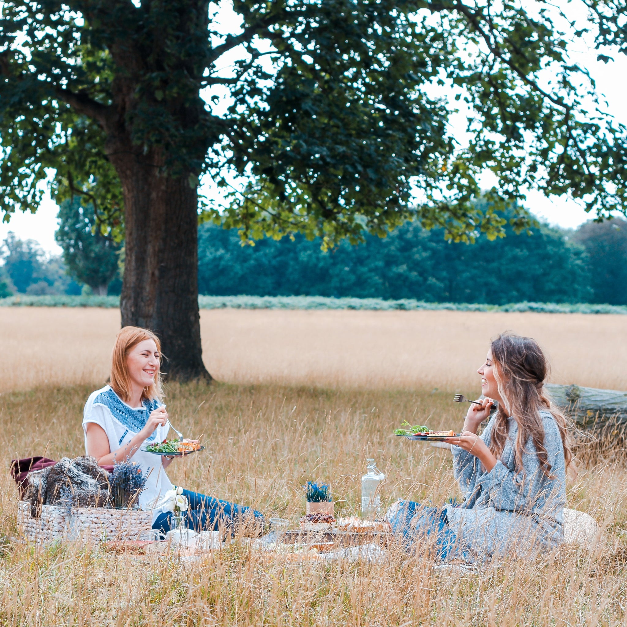 Two friends having a picnic in a field under a tree