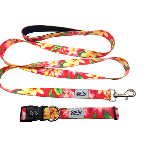 Pampa Skinny Dog Lead Petalo – Beau Outfitters