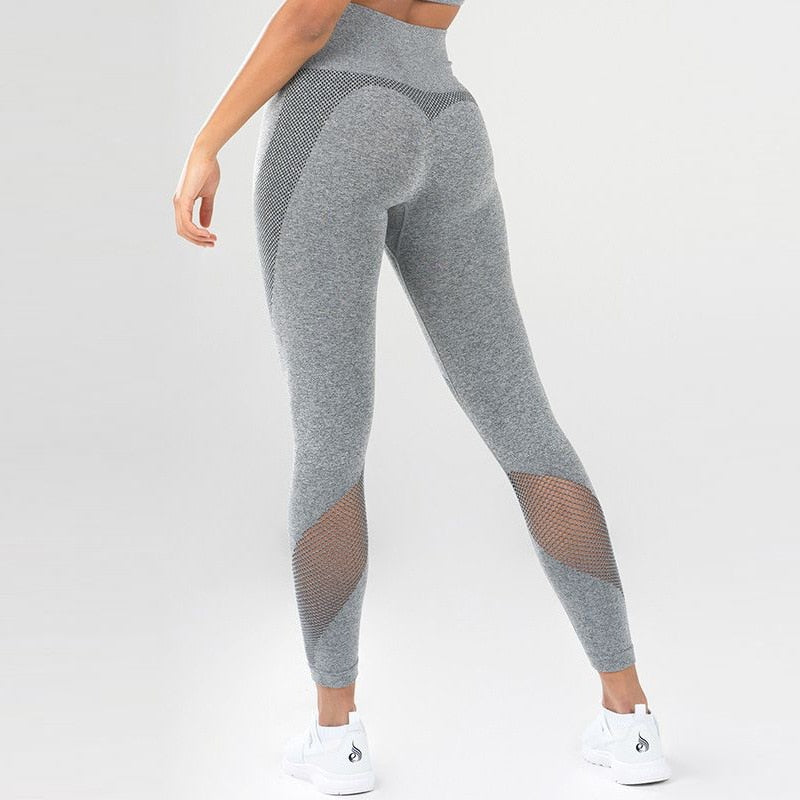 sheer workout leggings