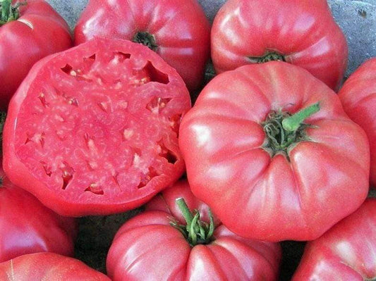 Brandywine, Sudduth Strain - Tomato - Victory Seeds® – Victory