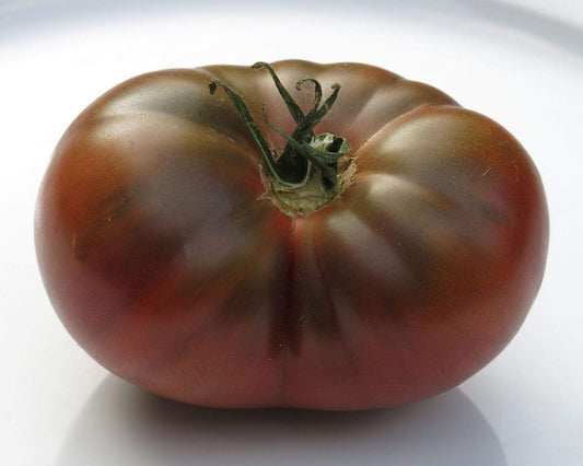 Brandywine Sudduth's Strain Tomato seeds heirloom organic ireland – Sow  Diverse