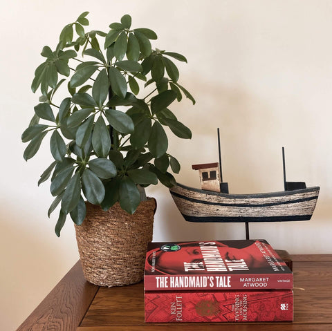 Two books sit on a sideboard next to a leafy green plant and a wooden boat ornament. The books are both red. 