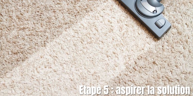 Utilisation d'un aspirateur pour éliminer la solution de nettoyage à sec d'un tapis
