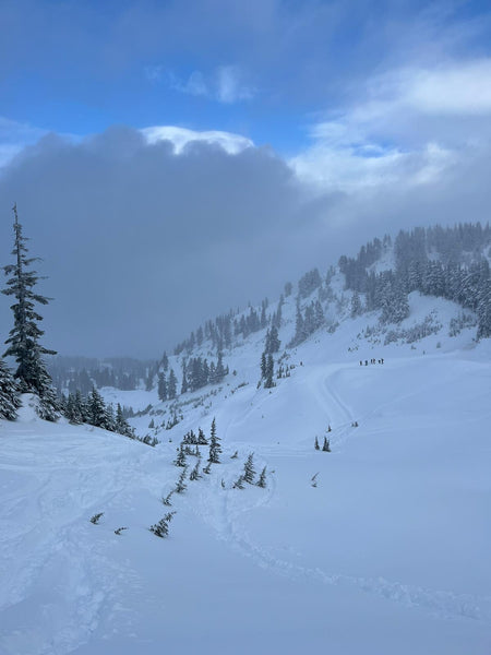 Mt Baker Backcountry skiing Conditions