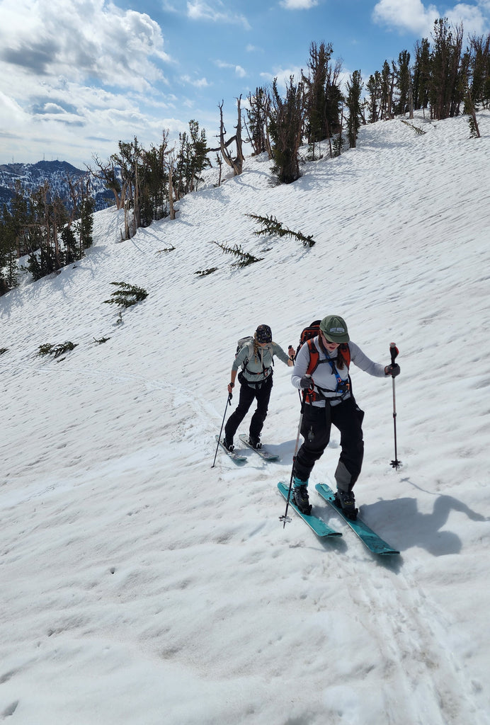 Agreeable skinning conditions: the snow is hard under the surface and the softened surface isn't too slippery - great grip and still able to cut a track