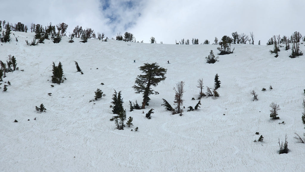 backcountry skiers on proletariat Bowl at mt Rose