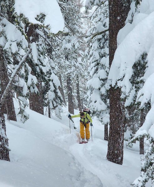 Skinning on the Lake Tahoe's West Shore