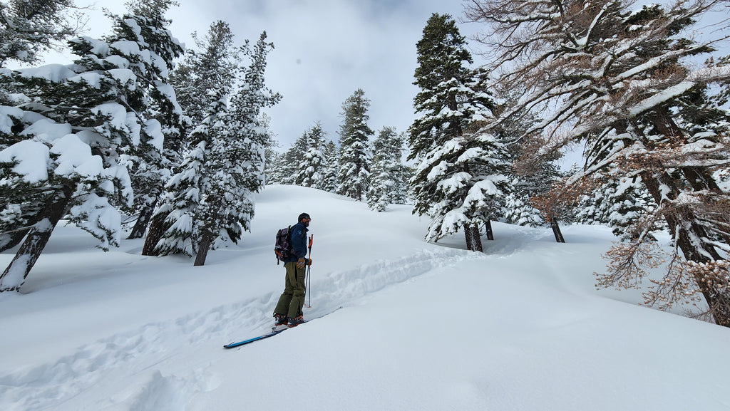 West Shore Lake Tahoe Backcountry Skiing Conditions