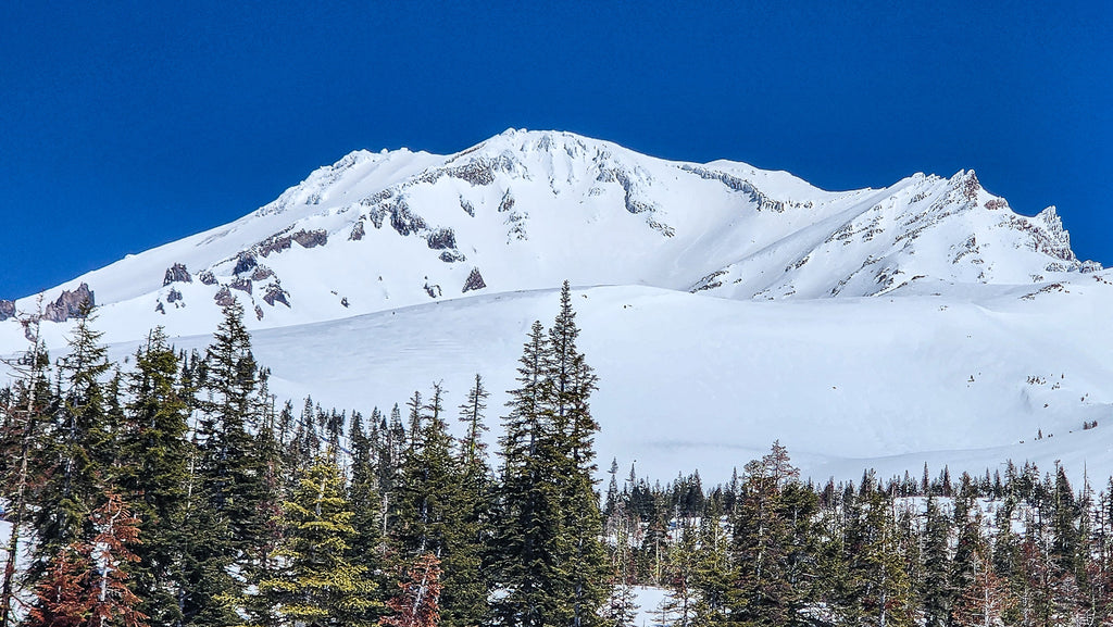 Mt Shasta with the Trinity Chutes, Avalanche Gulch and West Face Routes stuffed with snow