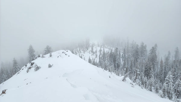 Backcountry conditions in Tahoe, looking north from Andesite Peak.