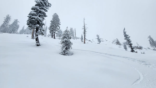 Powder Turns showing the conditions in the Truckee backcountry