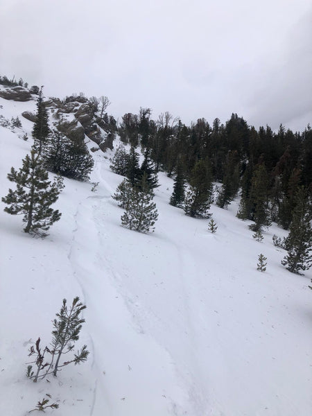 Current conditions for the Mt Rose Backcountry december 2023