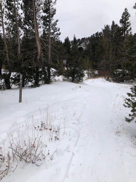 current backcountry ski conditions on Mt Rose in the Tahoe Backcountry