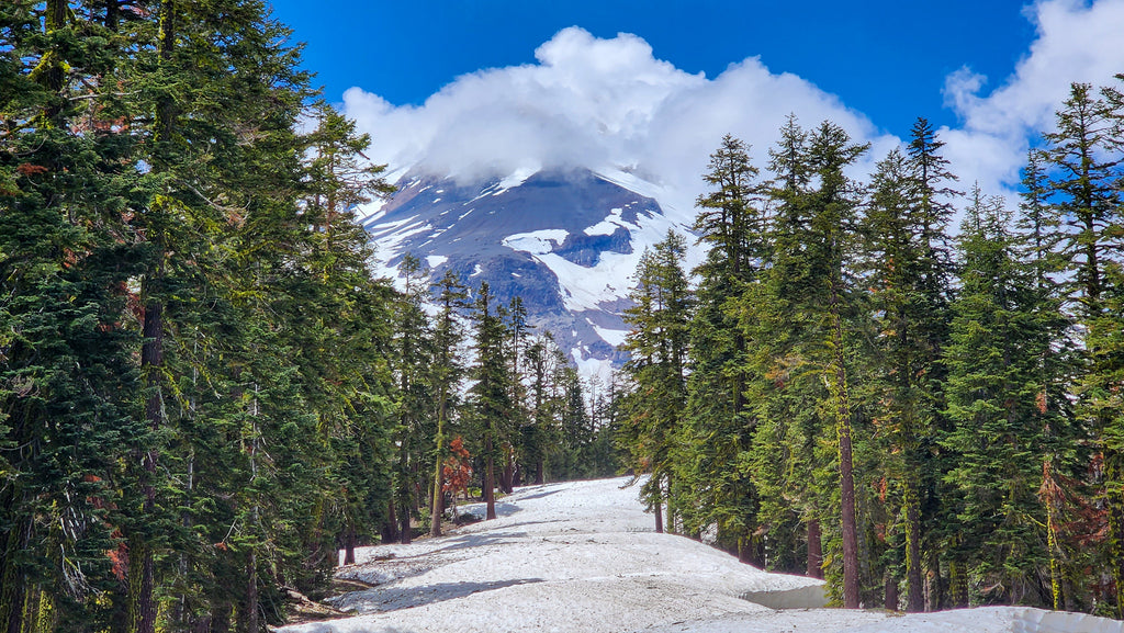 The Clear Creek summer trail on Mt Shasta