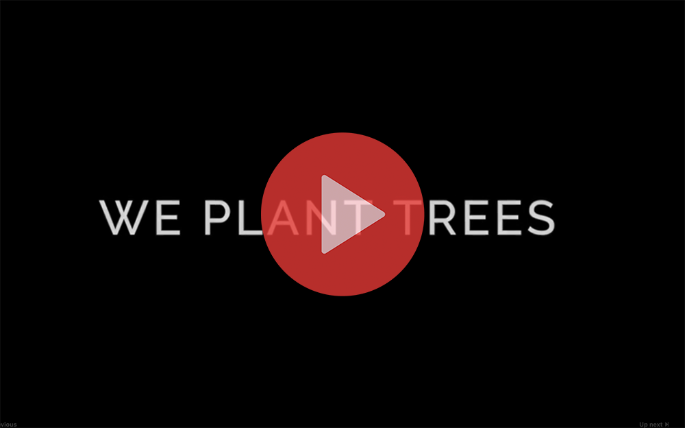 Plant trees