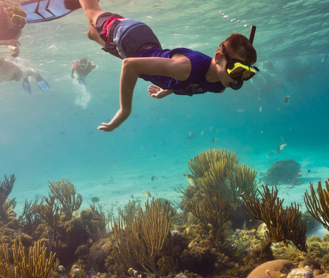 child snorkels in grand cayman coast