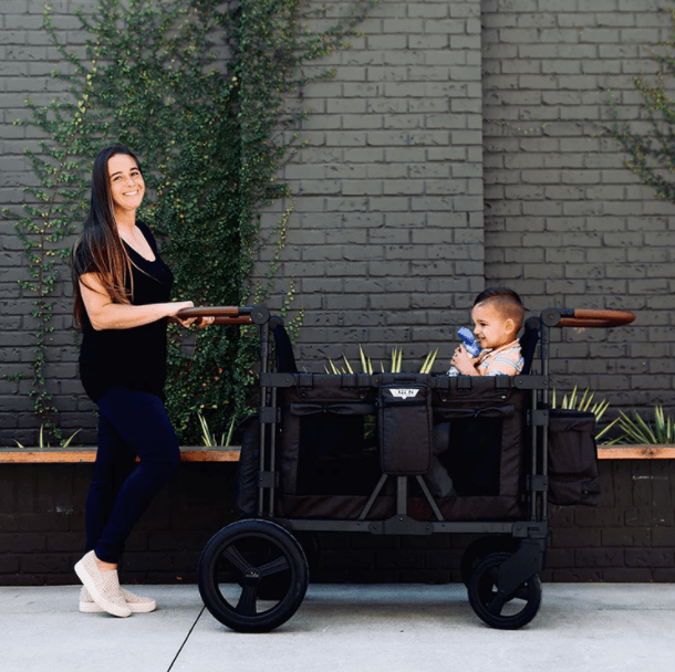 luxury wagon stroller