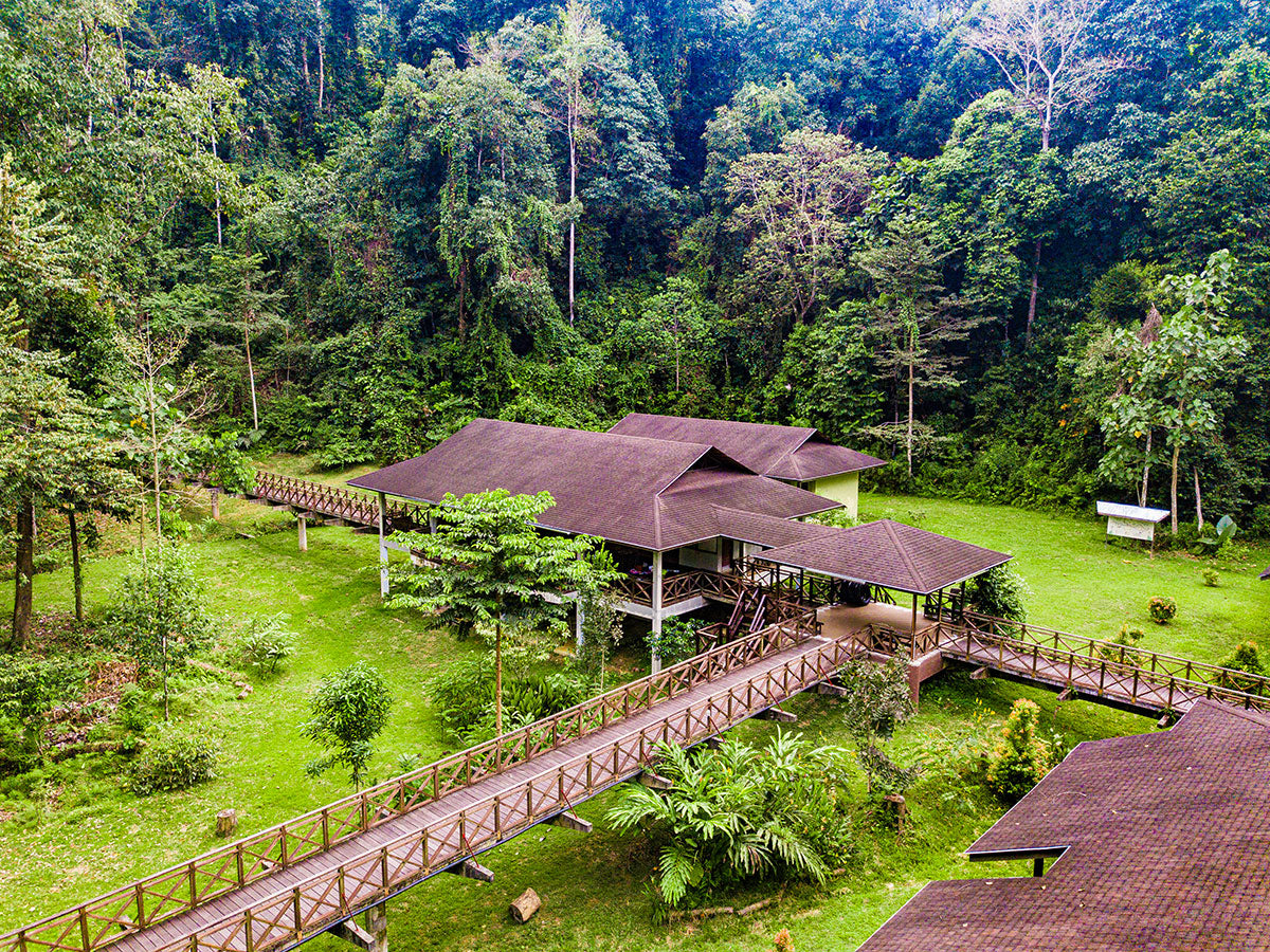 3d2n Kawag Danum Rainforest Lodge Danum Valley Explorer Danum Valley Rainforest Lodge 7667