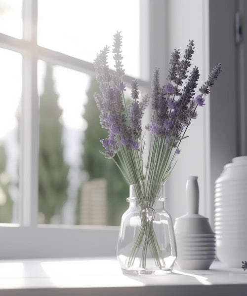 lavendel i en glasflaska i ett fönster med solstrålar