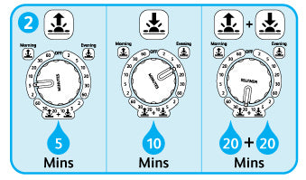 Watering Schedule