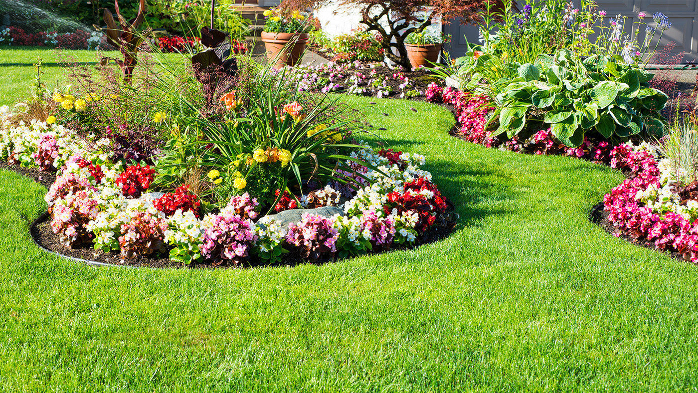 Drip Irrigation Example - Flower Beds and Borders