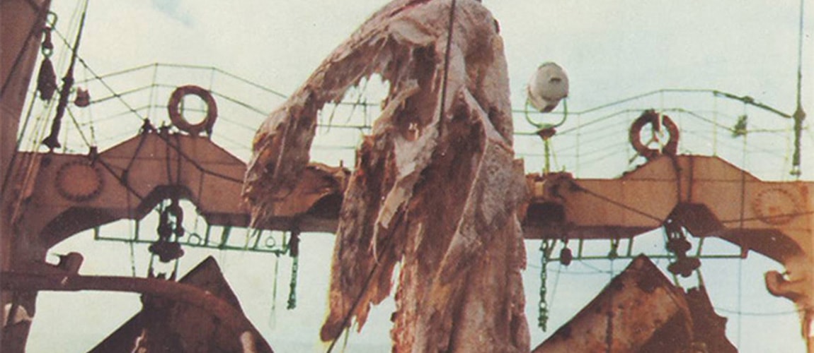 Créature de Zuiyo Maru