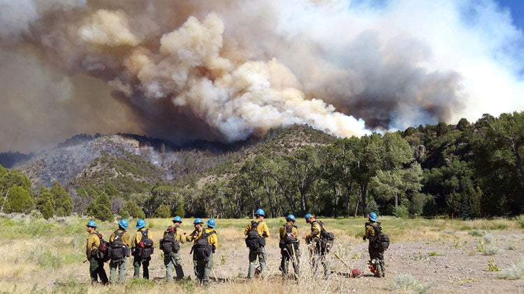 Wildland Firefighters Gear and Fire Safety