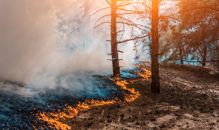 Wildland Firefighters Gear and Fire Safety