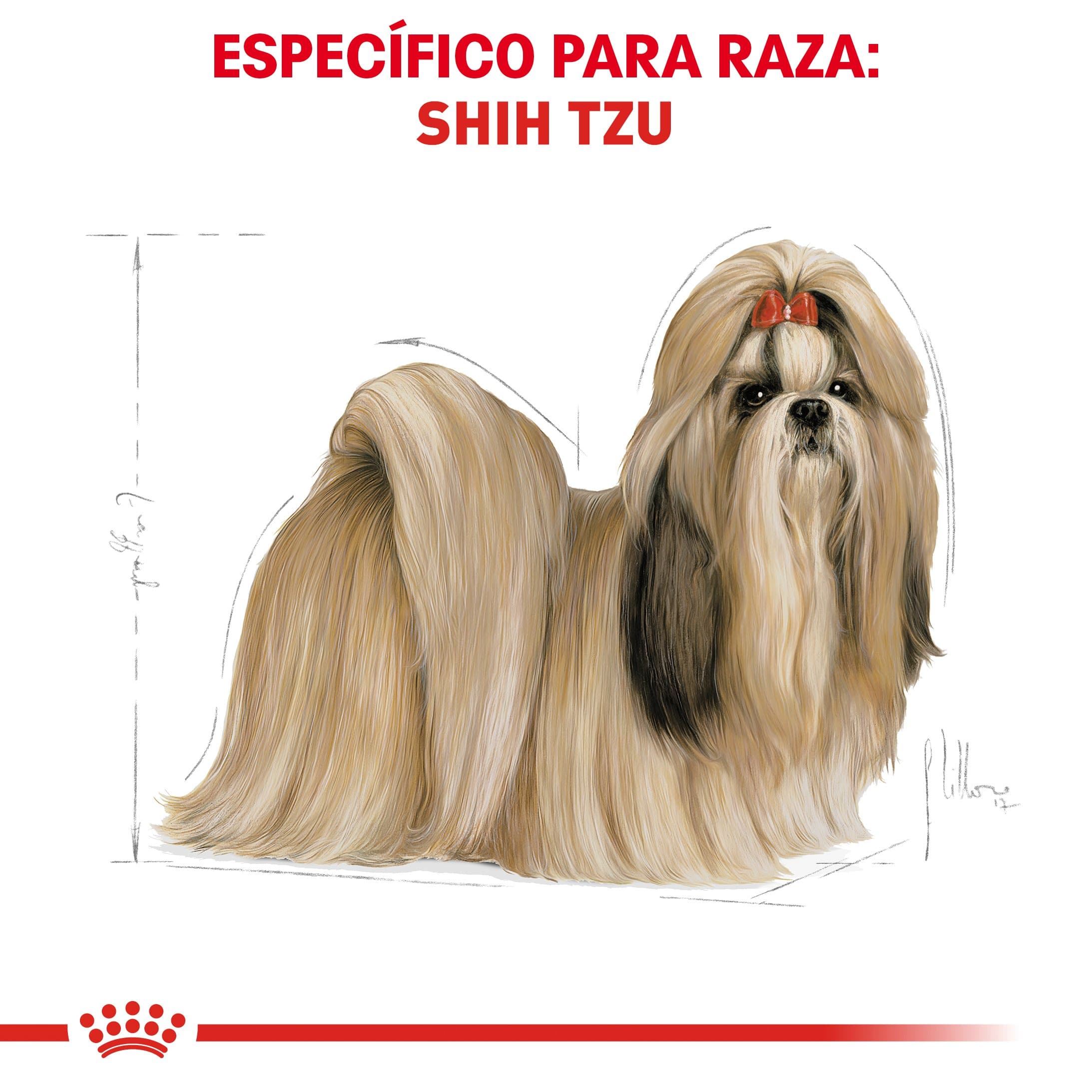 Royal Canin собака Shih Tzu