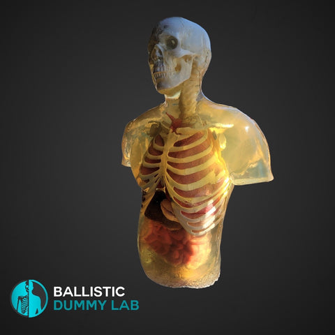 Ballistic Dummy Gel Zombie Torso – Ballistic Dummy Lab