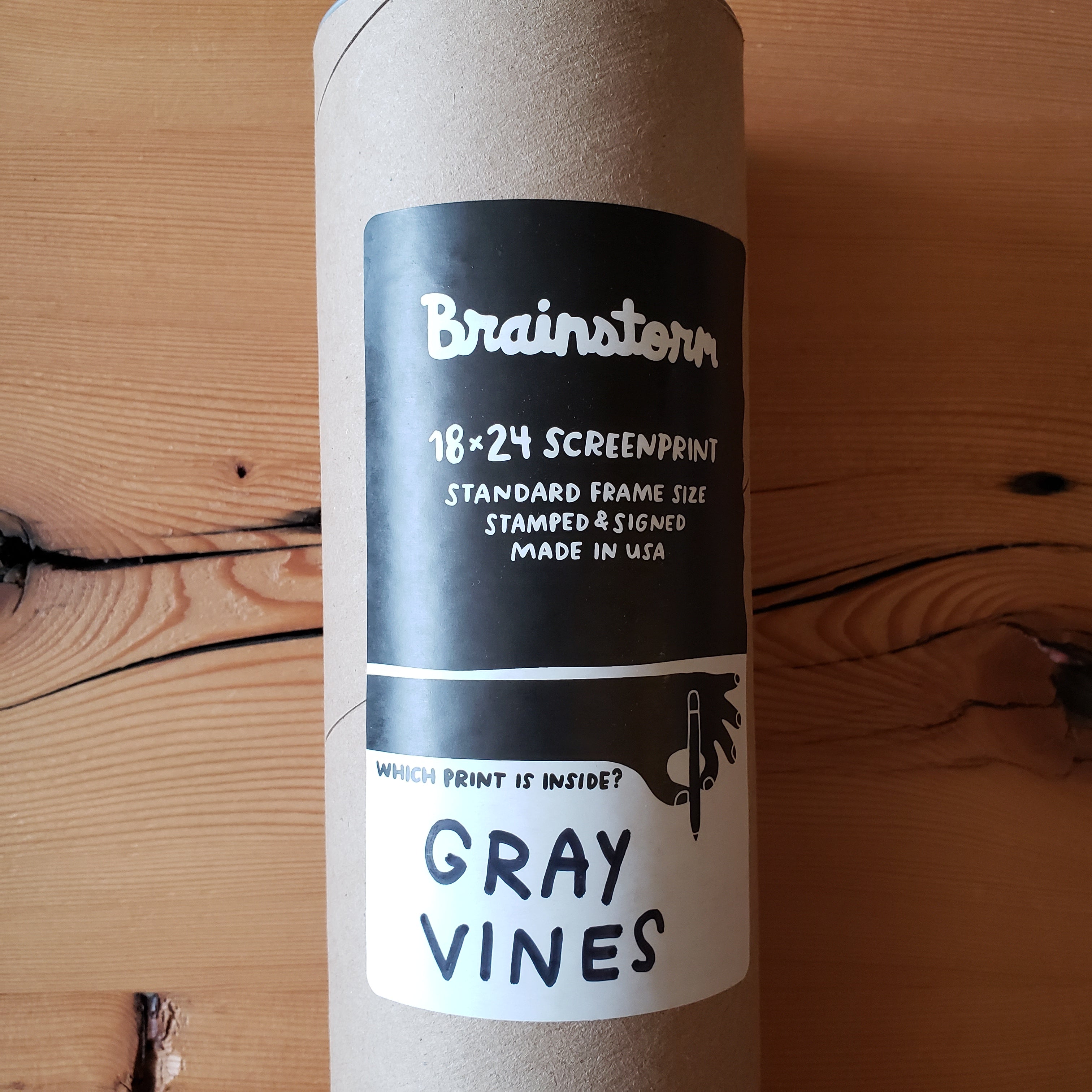 Gray Vines - 18 x 24