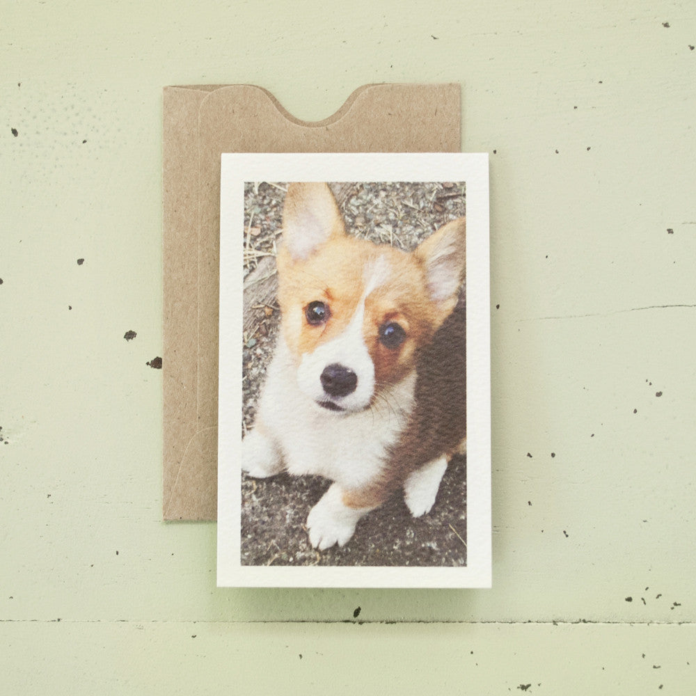 Corgi Enclosure Card