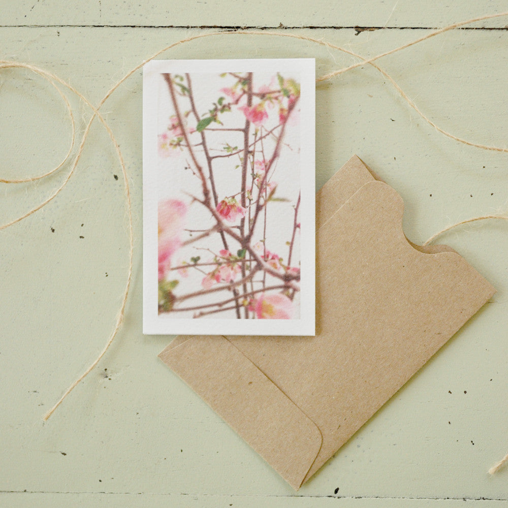 Flowering Branches Enclosure Card