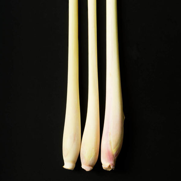 Lemongrass Stalks - Boost Your Wellness Routine with This Ingredient