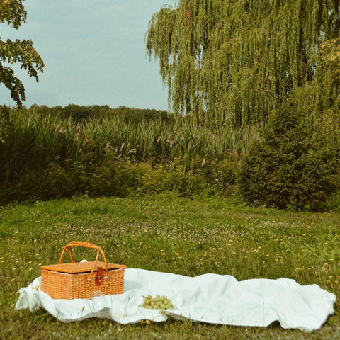 Summer Picnic - Taking Itch out of Bug Bites Naturally