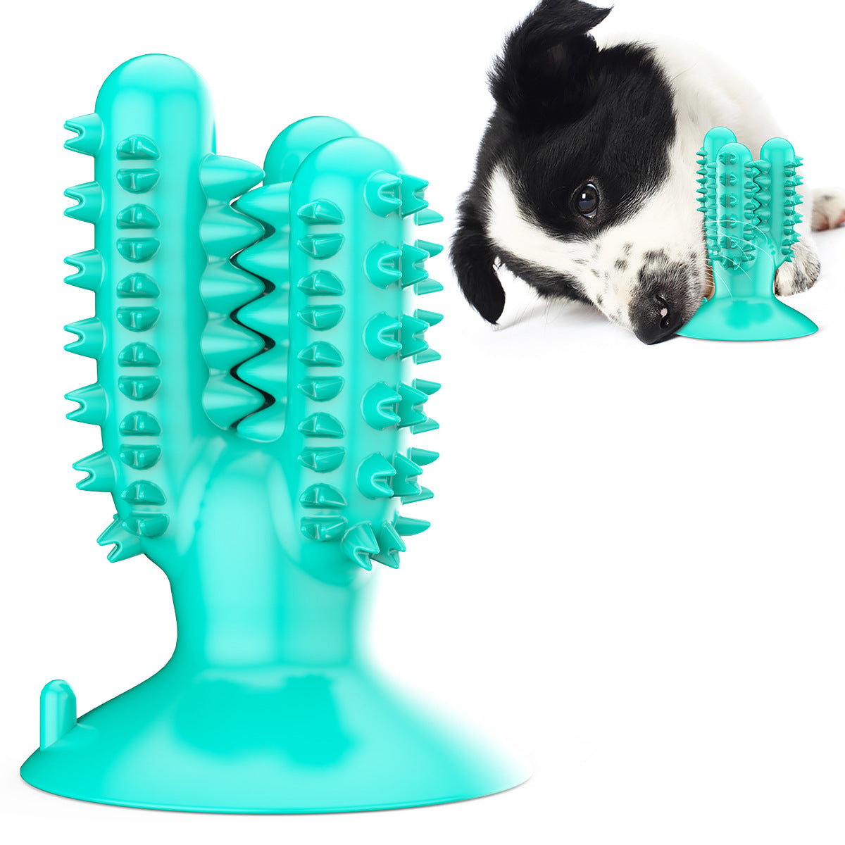 dog chewy toothbrush