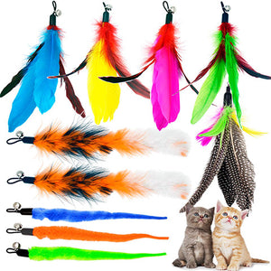 Replacement Feathers for Cat Wand Toy