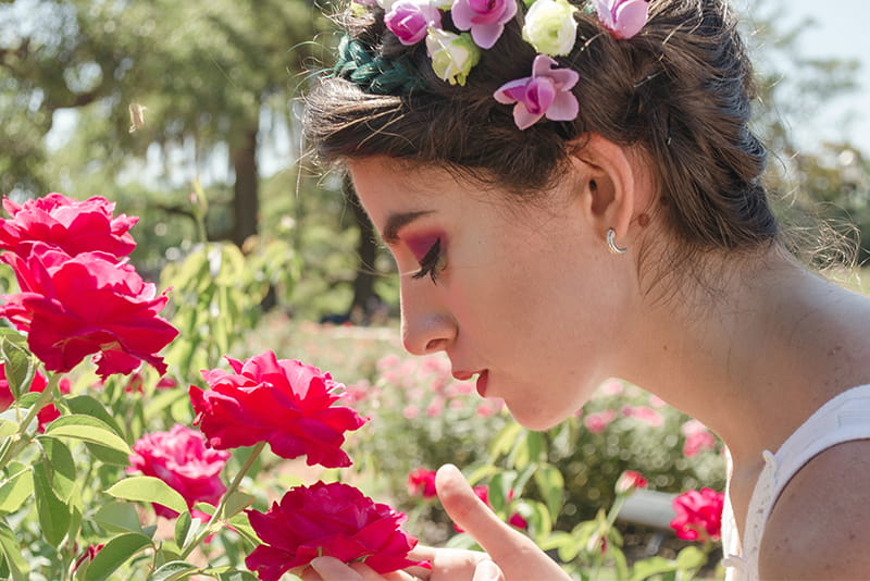 Es gibt viele Arten von Rosen, wie zum Beispiel die Damaszener-Rose oder die Marokkanische Rose