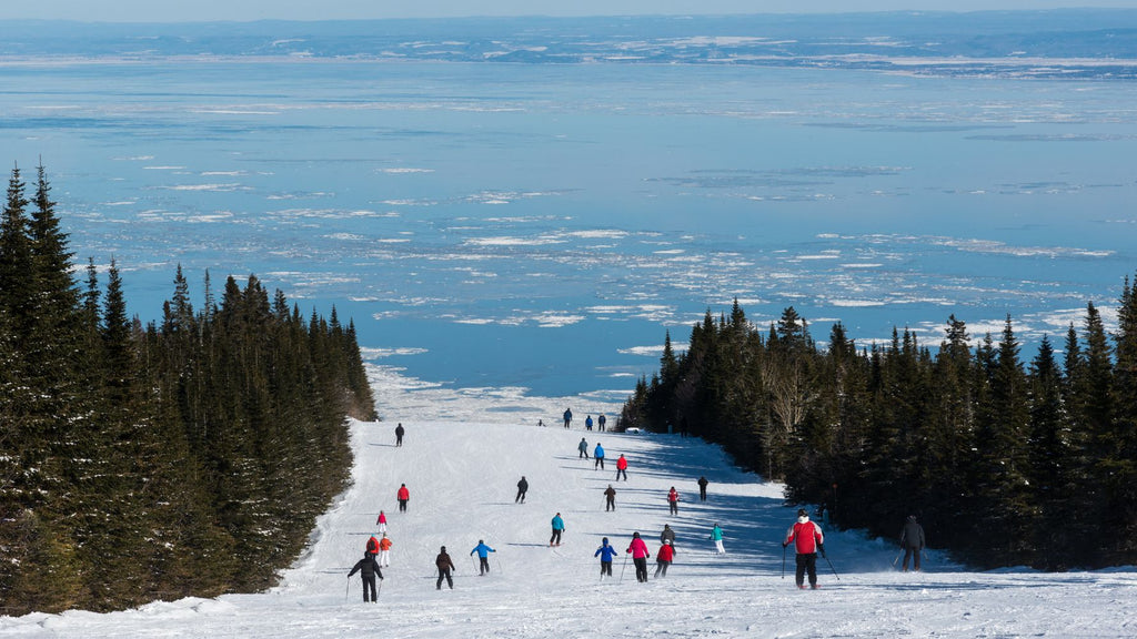 piste du Massif de charlevoix avec plusieurs skieurs vs le fleuve Saint-Laurent dans le bas de la montagne 