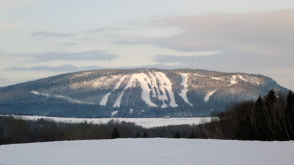 Mont-Comi avec les forêts