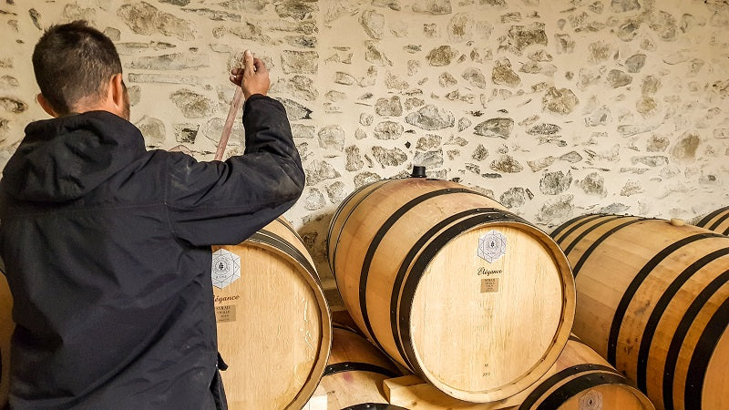 Chateau Estanilles oak barrel tasting tank grand vin organic wine languedoc AOP faugères