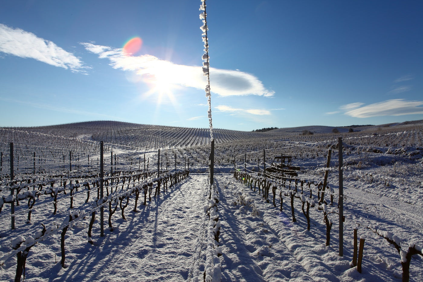 Chateau Estanilles winter snow grand vin organic wine languedoc AOP faugères