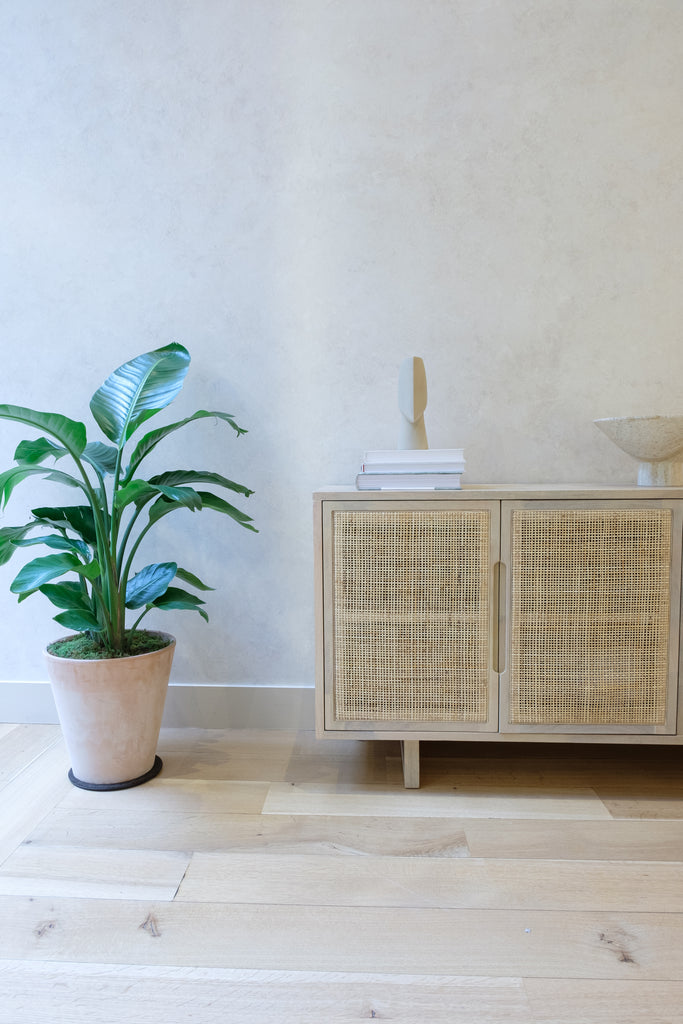 The light wood and rattan Hannah sideboard sits next to a potted plant.