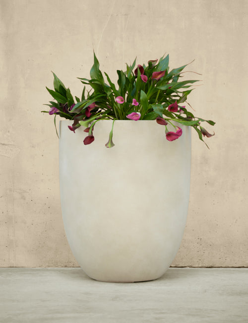 Sutton 15 Ceramic Self Watering Pot by Greenery Unlimited Speckled Egg