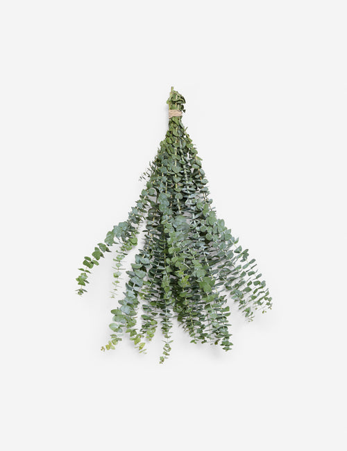 Fresh Olive Garland –