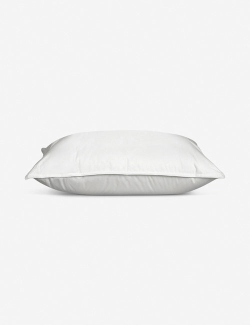 Coyuchi Feather & Down Pillow Insert White