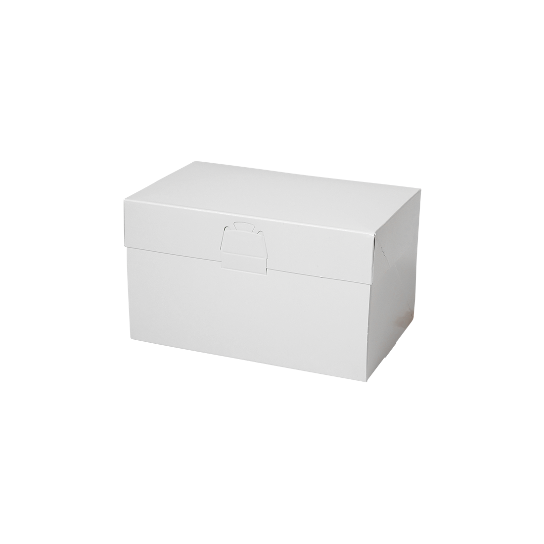 ロックBOX 105-ホワイト 4×6